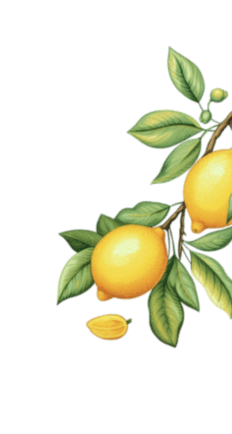 lemon